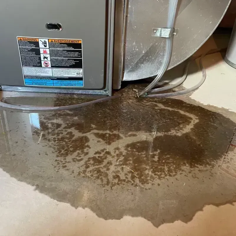 Appliance Leak Cleanup in Near North Side, IL